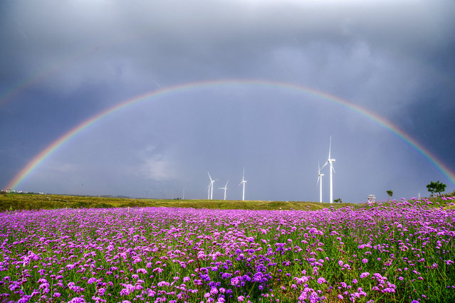 Double rainbow after rain above the sea of flowers. Guiyang City, Guizhou Province, China, August 19, 2020. (Photo by Costfoto/Barcroft Media via Getty Images)