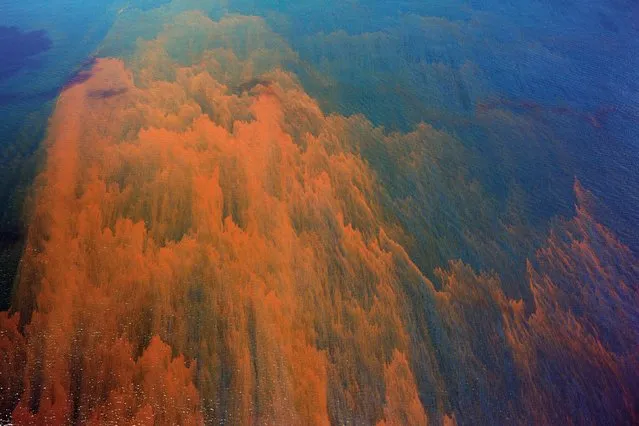 Gulf of Mexico, US. The failed BP Macondo well emitted natural gas as well as liquid hydrocarbon contaminants of different composition and viscosity. The gas percolated into the atmosphere invisibly. The liquids, which contained suspended solids, were of different densities which floated at different levels. The oil was treated with Corexit, a dispersant chemical designed to mix with and alter surface tension of the oil and ultimately break it up and sink it. The oil in this photo is floating just under the water’s surface. (Photo by J. Henry Fair/Industrial Scars/Papadakis Publisher)
