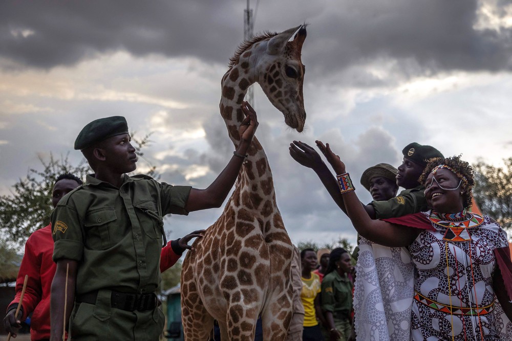 Pictures of the Year 2024, Part 137/240