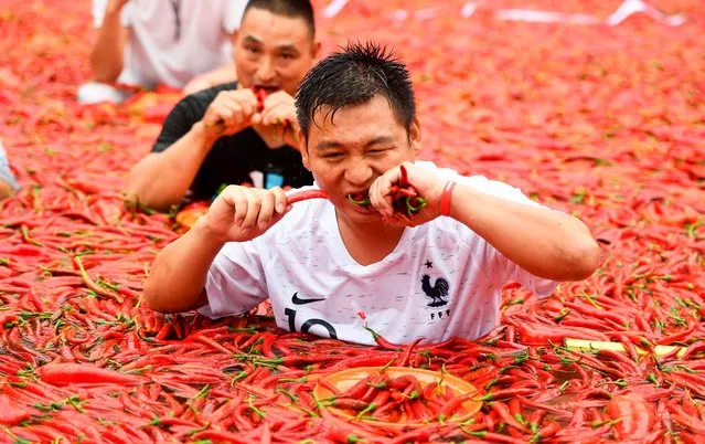 This photo taken on July 8, 2018 shows a contestant taking part in a chilli pepper- eating competition in Ningxiang in China' s central Hunan province. The winner of the contest ate 50 chilli peppers in one minute. (Photo by AFP Photo/Stringer)