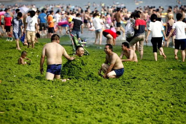 Tourists play at a beach covered by a thick layer of green algae in Qingdao, China, on July 3, 2013. A large quantity of non-poisonous green seaweed, enteromorpha prolifera, hit China's Qingdao coast last month. More than 20,000 tons of such seaweed has been removed from the city's beaches. This has now become an annual summer event. (Photo by Whitehotpix/ZumaPress.com)