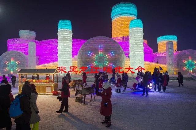 People visit ice sculptures illuminated by coloured lights at the Harbin Ice and Snow Festival to celebrate the new year in Harbin on January 4, 2017. (Photo by Nicolas Asfouri/AFP Photo)