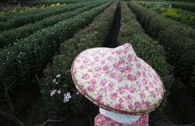 A woman works in her flower fields outside Changhua, Taiwan, January 13, 2016. (Photo by Olivia Harris/Reuters)