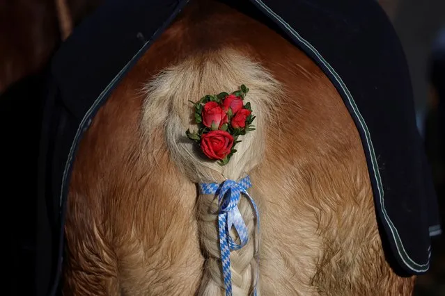 A decorated horse tail is seen during the Leonhardi Ritt procession, as participants travel to the chapel on the Kalvarienberg to pray to St Leonhard, the patron saint of animals, in Bad Toelz, Germany on November 7, 2022. (Photo by Lukas Barth/Reuters)