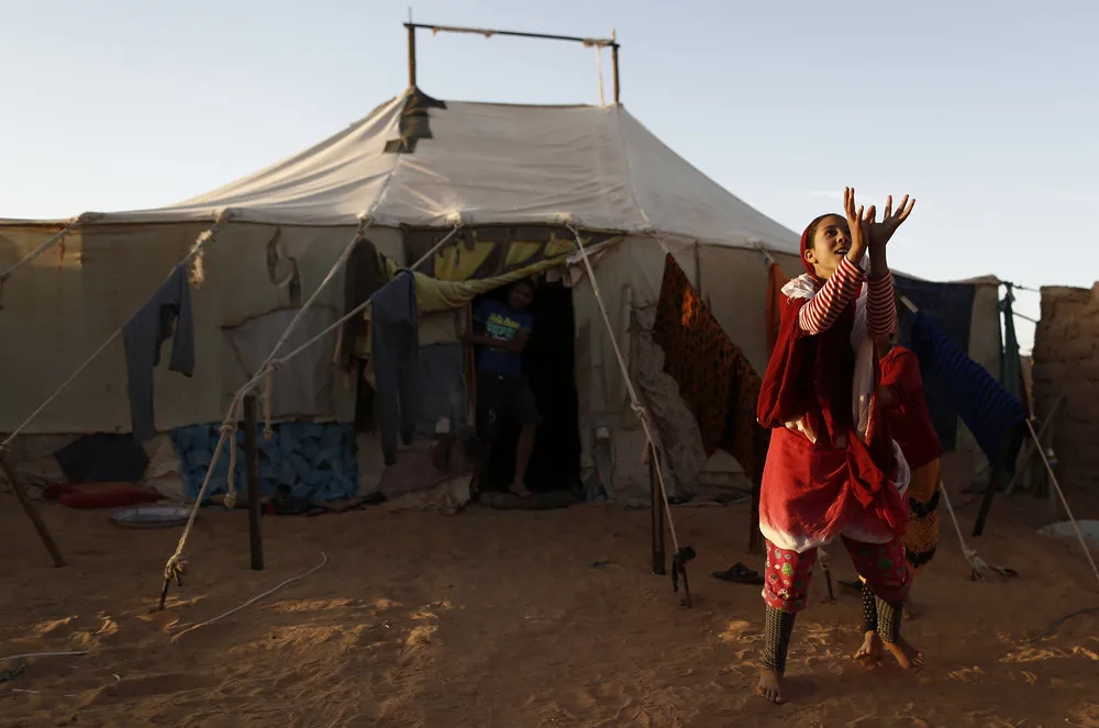 Sahrawi Refugees