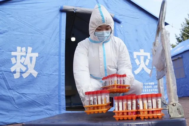 In this photo released by China's Xinhua News Agency, a worker in protective clothing handles COVID-19 test samples in Bayan County of Harbin city in northeastern China's Heilongjiang Province, Monday, September 27, 2021. A city in northern China has euthanized three housecats after they tested positive for COVID-19, according to a local media report. The authorities in Harbin said the action was taken because there was no course of treatment for animals with the disease and they would have endangered their owner and residents of the entire apartment complex in which they lived, the Beijing News online said. (Photo by Wang Jianwei/Xinhua via AP Photo)