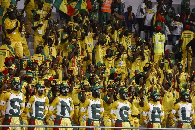 Senegal's supporters wave ahead of the Africa Cup of Nations (CAN) 2024 round of 16 football match between Senegal and Ivory Coast at the Stade Charles Konan Banny in Yamoussoukro on January 29, 2024. (Photo by Kenzo Tribouillard/AFP Photo)