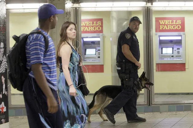 A police officer with a bomb-sniffing dog patrols the Times Square subway station, Friday, Sept. 9, 2011, in New York. Just days before the 10th anniversary of the Sept. 11 attacks, U.S. counterterrorism officials are chasing a credible but unconfirmed al-Qaida threat to use a car bomb on bridges or tunnels in New York City or Washington. (Photo by Mary Altaffer/AP Photo)