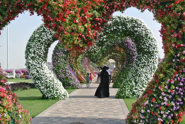 The Dubai Miracle Garden