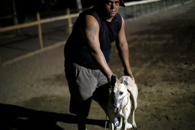 A greyhound owner poses for a picture during a race at Santiago city, February 23, 2014. (Photo by Ivan Alvarado/Reuters)