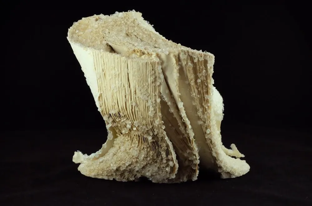 Grows Crystals on Books by Alexis Arnold