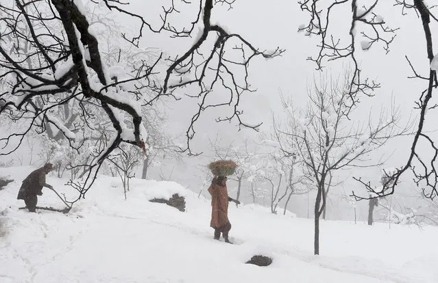 Kashmiri village woman carries a basket on her head on the outskirts of Srinagar during a fresh snowfall on March 10, 2017. (Photo by Tauseef Mustafa/AFP Photo)