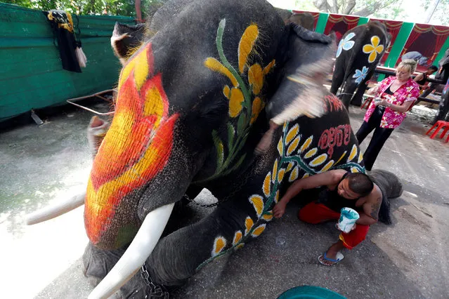 A Thai mahout paints an elephant in celebration of the Songkran water festival in Ayutthaya province, north of Bangkok, Thailand April 11, 2017. (Photo by Chaiwat Subprasom/Reuters)
