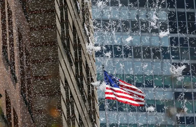 Paper falls from buildings during the ticker tape parade for the U.S. women's soccer team up Broadway in lower Manhattan to celebrate their World Cup final win over Japan in New York, July 10, 2015. (Photo by Mike Segar/Reuters)