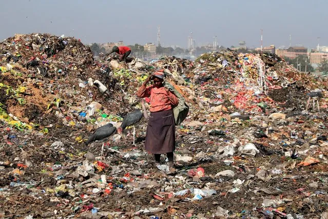 A scavenger is seen before sorting recyclable plastic materials at the Dandora dumping site on the outskirts of Nairobi, Kenya, February 26, 2022. (Photo by Thomas Mukoya/Reuters)