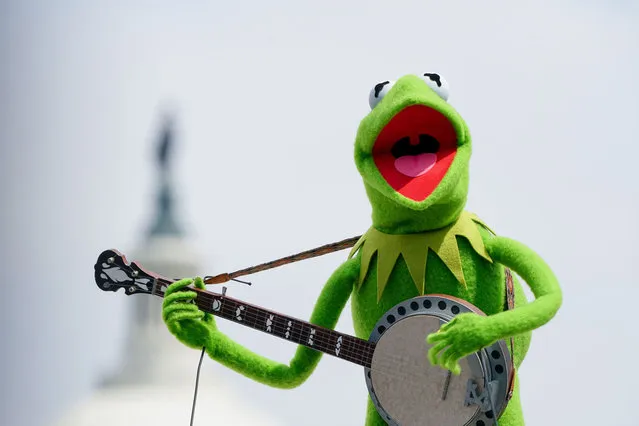 International film and television star and the world’s most famous amphibian, Kermit the Frog performs during dress rehearsalfor A Capitol Fourth Concert airing on July 04, 2021 in Washington, DC. (Photo by Jemal Countess/Getty Images for Capitol Concerts)