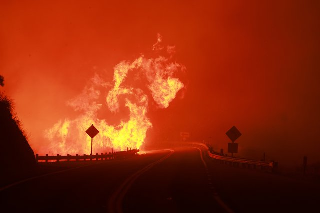 Highway 330 is engulfed by the flames of the Line Fire near Running Springs, California, on September 7, 2024. The Line Fire has burned more than 7,000 acres (2,800 hectares). (Photo by David Swanson/AFP Photo)