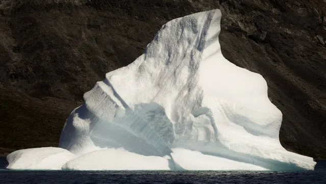 A large iceberg floats in Eriks Fjord near the town of Narsarsuaq in southern Greenland. (Photo by Bob Strong/Reuters)