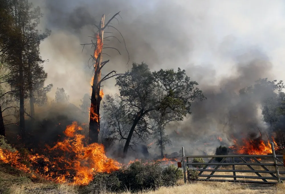California Fires Update