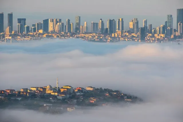 Fatma Demir, “Fog in the City”, 2020, Istanbul, Turkey. Category: Place. Fatma Demir says: “In the early hours of the morning, fog covered the whole city. I went at sunrise to take this photo”. (Photo by Fatma Demir/Earth Photo 2022)