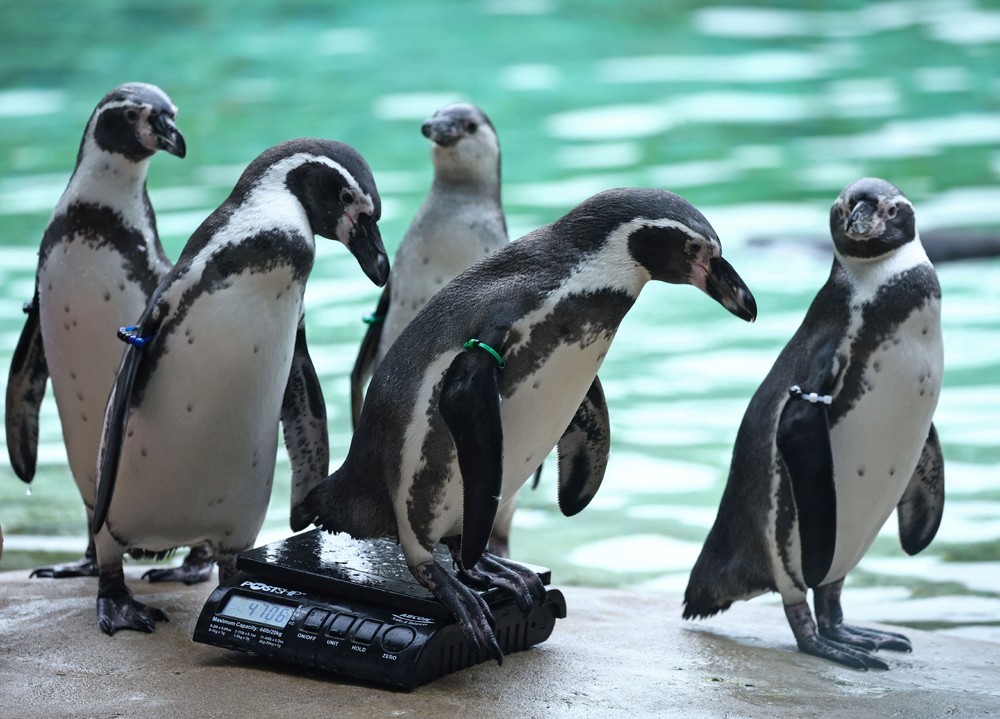 Pictures of the Year 2023, Part 155/224