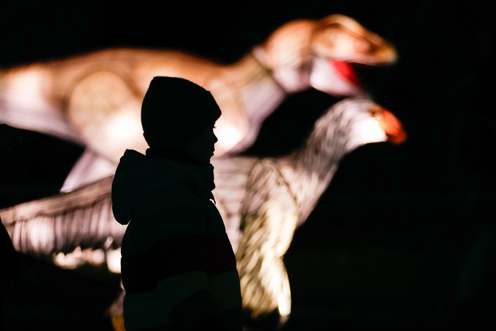 Some Photos: Silhouettes