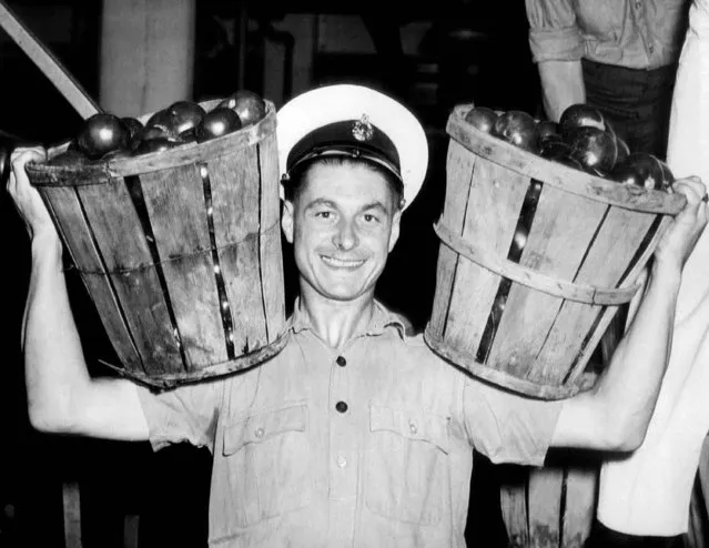 British sailors are helping in the manpower shortage by unloading tomatoes at the Campbell Soup Co. Fred Peacock at the unloading platform with two baskets in Camden, New Jersey, September 8, 1944. (Photo by AP Photo)