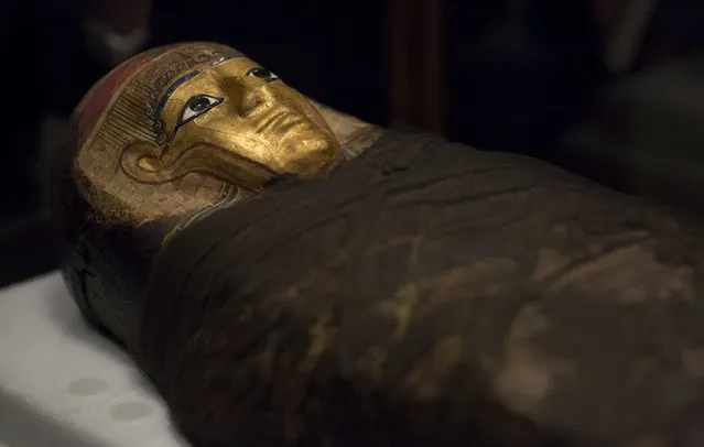 A mummy known as the Gilded Lady is seen on display during a media preview for the exhibit “Mummies: New Secrets from the Tombs” at the Natural History Museum of Los Angeles County in Los Angeles, California September 10, 2015. (Photo by Mario Anzuoni/Reuters)