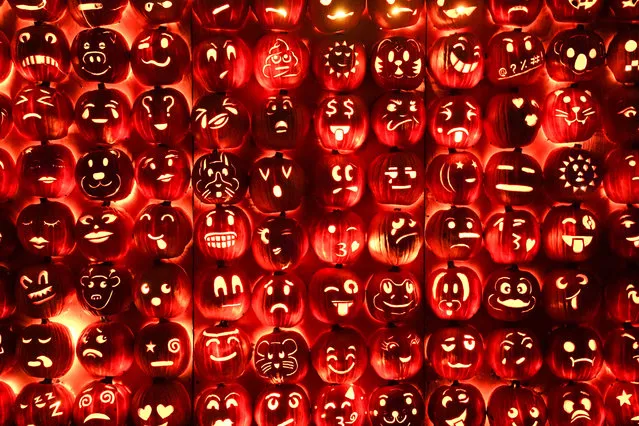 Pumpkins are seen at the Great Jack O’Lantern Blaze, where thousands of hand-carved pumpkins are displayed, at Van Cortlandt Manor on October 8, 2022 in Croton-on-Hudson, ahead of Halloween. (Photo by Bryan R. Smith/AFP Photo)