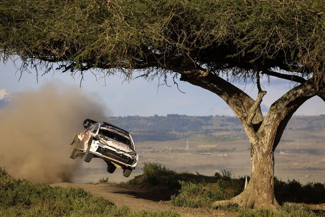 Sami Pajari of Finland drives his TOYOTA GR Yaris Rally1 during the second day of WRC Safari Rally 2025, in Naivasha, Kenya, 21 March 2025. (Photo by Manrico Martella/EPA/EFE)