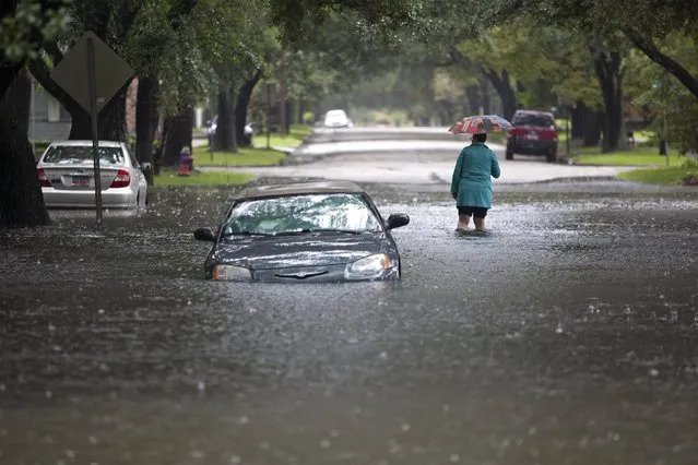 Clare Reigard of Georgetown, South Carolina, abandons her car after it stalled on Duke Street due to heavy rains in Georgetown, South Carolina October 4, 2015. Most major roads through the historical South Carolina city have closed due to flooding. (Photo by Randall Hill/Reuters)