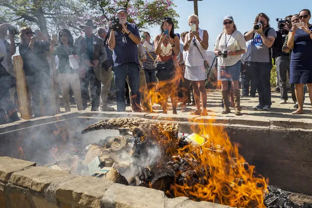 In this photo provided by the San Diego Zoo Safari Park, flames consume confiscated rhinoceros horn items in a fire pit at the Park in Escondido, Calif., Thursday, September 8, 2016. Officials burned the items with an estimated black market value of $1 million in a symbolic gesture to show the United States is committed to ending illegal wildlife trafficking. The U.S. Fish and Wildlife Service partnered with the zoo and California Department of Fish and Wildlife to hold the massive bonfire of items. (Photo by Ken Bohn/San Diego Zoo Safari Park via AP Photo)