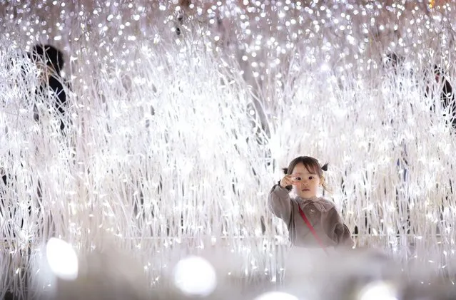 An illumination is held at a commercial facility “NAMBA PARKS” in Osaka City, Osaka Prefecture on November 15, 2022. Approximately 650,000 LED (light-emitting diode) bulbs are decorated to imagine waterfalls and meadows at the event. (Photo by Naoya Azuma/Yomiuri/The Yomiuri Shimbun via AFP Photo)