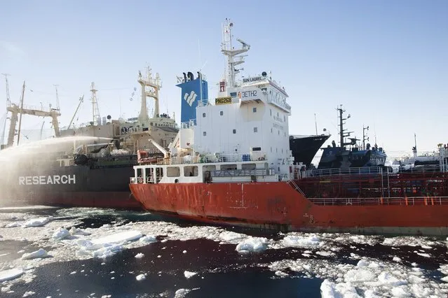 Japanese research vessel Nisshin Maru (L) collides with the Sea Shepherd ship Bob Barker (R blue) in Mackenzie Bay, Antarctica in this handout picture taken on February 20, 2013. Anti-whaling activists called on Wednesday for Australia to send a naval vessel to the Southern Ocean after a confrontation in which they said the Japanese whaling ship collided with two of their protest vessels, damaging their flagship. Australia said it was confirming the report of the incident. Neither the Japanese government nor its whaling authority immediately responded to the Sea Shepherd's account of the clash. (Photo by Tim Watters/Reuters/Sea Shepherd Australia)