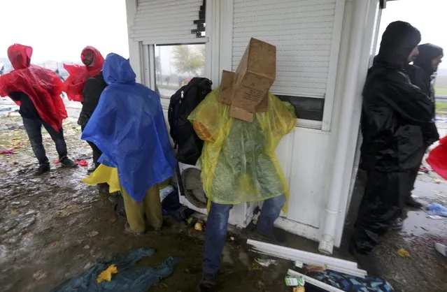 A migrant covers his head with a cardboard box as he waits in no man's land to cross the border to Slovenia from Trnovec, Croatia, October 19, 2015. (Photo by Srdjan Zivulovic/Reuters)