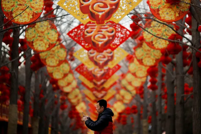 A man takes pictures of trees decorated for Spring Festival ahead of the Chinese Lunar New Year at Ditan Park in Beijing, China February 11, 2018. (Photo by Thomas Peter/Reuters)
