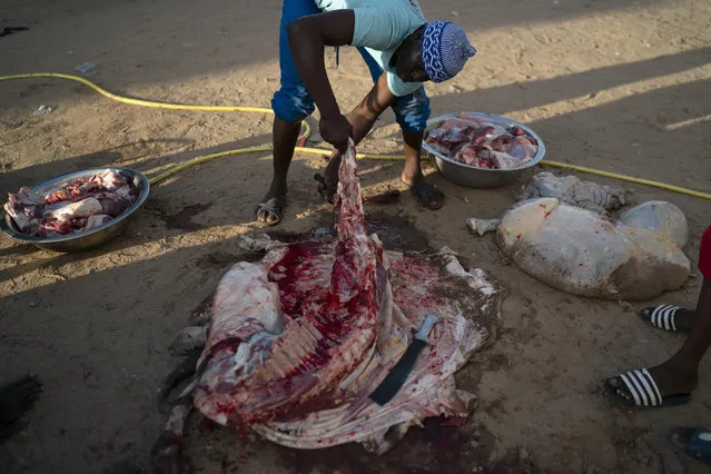 A man cuts an ox in pieces after slaughtering it on a street, in preparation for a feast as part of the celebrations of the Grand Magal of Touba, in Senegal, Tuesday, October 6, 2020. (Photo by Leo Correa/AP Photo)