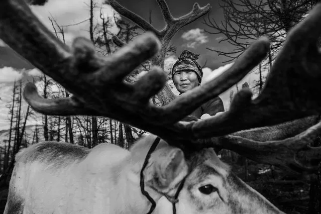 Winner. “The Dukha, the reindeer herders of Mongolia, live up in the mountains and reside in teepees. I had the pleasure of living with the Dukha and spending time with this women, a single mother, now grandmother, who bought up her two girls while caring for more than 50 reindeer”. MICK RYAN, JUDGE: “Some say that travel photography images should be candid but if they aren’t candid they should always tell a story and if possible have a unique perspective. While this isn’t perfectly executed (the woman’s face could be better positioned) it speaks volumes about her way of life”. (Photo by Eloise Campbell/The Guardian)
