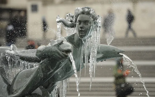 Icicles hang from a statue in Trafalgar Square, central London,  as the cold weather continues Tuesday March 26, 2013. The cold weather is predicted to continue for the upcoming days with freezing temperatures and high winds hitting many regions of Britain. (Photo by Andrew Matthews/AP Photo)