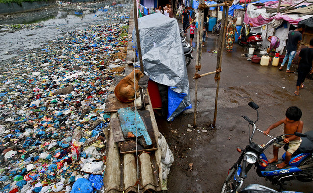 A boy sits on a bike next to a polluted canal littered with plastic bags and other garbage in Mumbai, India, Sunday, October 2, 2016. (Photo by Rafiq Maqbool/AP Photo)