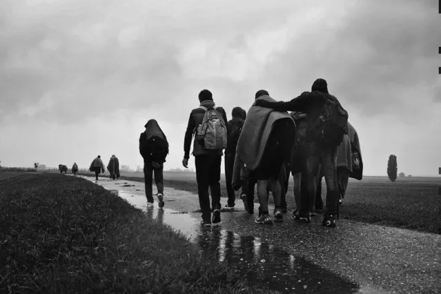 Hungary-Serbian border the refugess form Iraq try to cross the border in the illegal way. After 30 km walking, the group failed to cross the border, so they had to return to Serbia, saying goddbye with the words “Do you come with us? You are lucky, you can choose, you can do what you want, you are free”. (Photo by Andreja Restek)