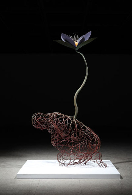 Root Sculptures by Kim Sun Hyuk