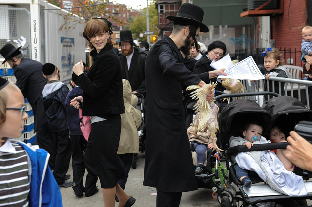 People participate in the Jewish religious holiday of Kaporos in the Brooklyn borough of New York City, October 9, 2016. (Photo by Stephanie Keith/Reuters)