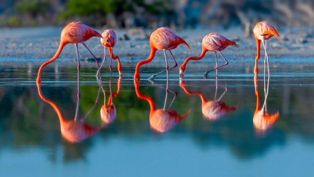 Some Photos: Reflection