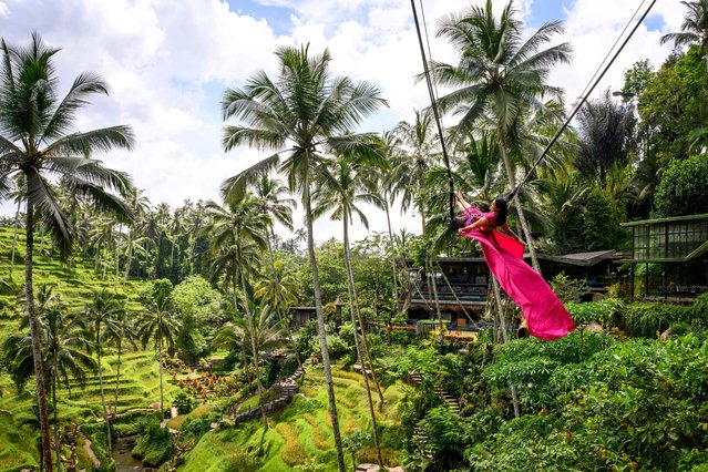 A woman poses for photographs on a giant swing at the Tegallalang rice terraces near Ubud in Bali on November 5, 2025. (Photo by Mladen Antonov/AFP Photo)