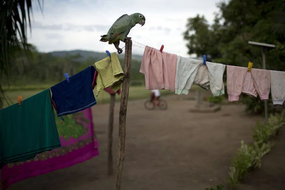 Program Fights Student Hunger in Peru's Amazon