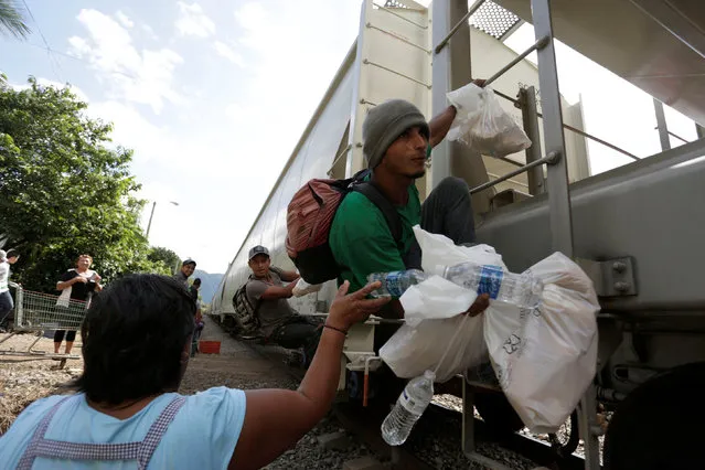 A woman from a group called “Las Patronas” (The bosses), a charitable organization that feeds Central American immigrants who travel atop a freight train known as “La Bestia”, passes food and water to immigrants on their way to the border with the United States, at Amatlan de los Reyes, in Veracruz state, Mexico October 22, 2016. (Photo by Daniel Becerril/Reuters)