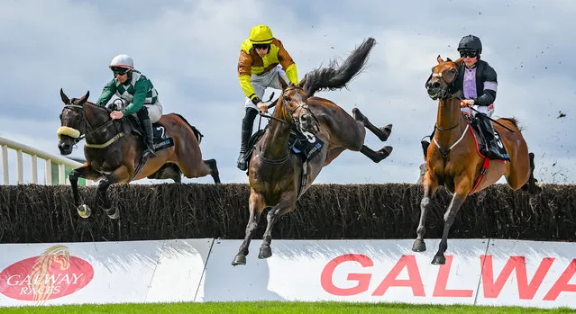 Sir Argus, centre, with Brian Hayes up, jumps the first during the Guinness Beginners Steeplechase, alongside eventual winner Mars Harper, right, with Sam Ewing up, during day four of the Galway Races Summer Festival at Ballybrit Racecourse in Galway, Ireland on August 3, 2023. (Photo by Seb Daly/Sportsfile)