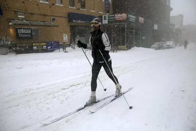 A woman skis in the street through the blowing snow in the Brooklyn borough of New York, January 23, 2016. (Photo by Brendan McDermid/Reuters)