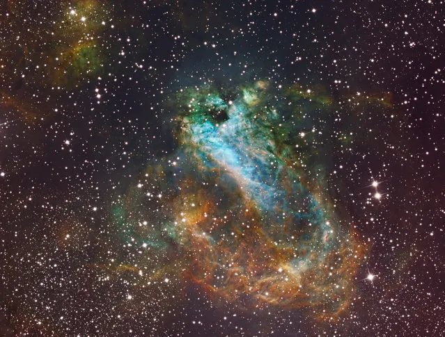 M17 the Swan Nebula also known as the Omega Nebula lies in the constellation Sagittarius. This is an emission nebula, and is about 5500 light years from Earth. The total field of nebulosity is approximately 40 light years in diameter. (Bill Snyder)